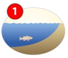 Water Education Diagram: Water Intake